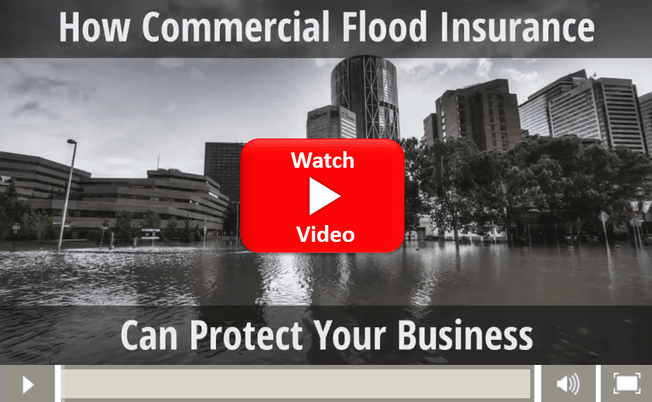 A commercial flood insurance video is shown.