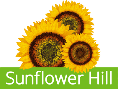 A group of sunflowers with the words " sunflower hill ".